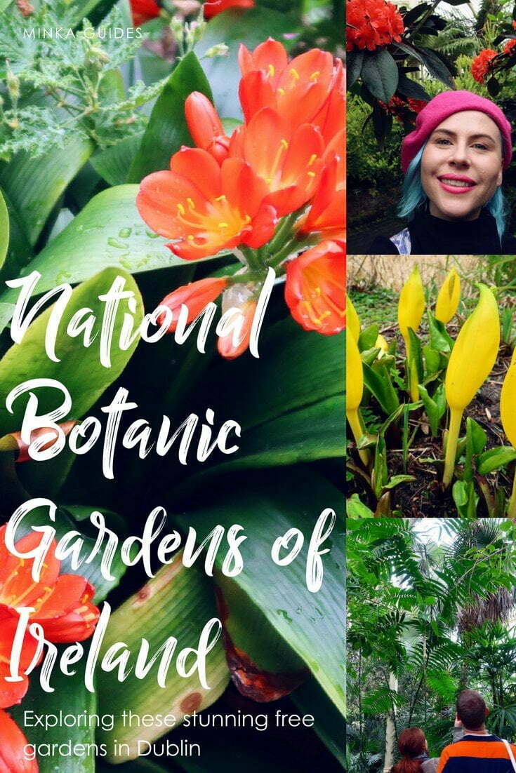 Exploring the National Botanic Gardens in Dublin @minkaguides